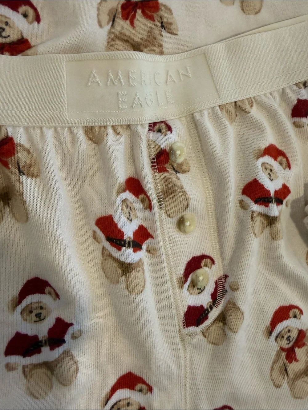 American Eagle Holiday Teddy Bear Plush PJ Set XL